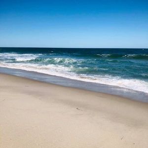 Meet your Posher, Dani